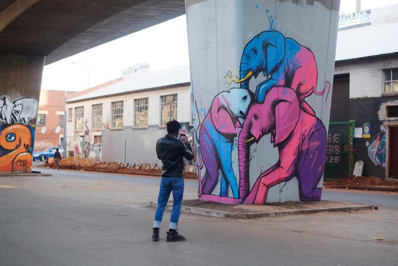 Tour del arte urbano por Johannesburgo