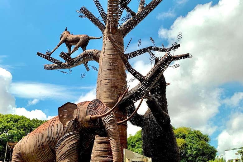Tour por Teresina + Visita al Ponte Estaiada y Museo de Piauí