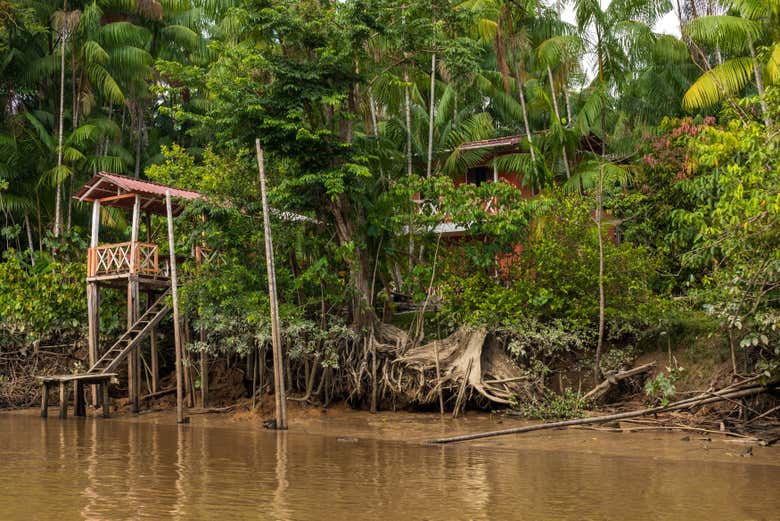 Paseo en barco por la isla de Combú