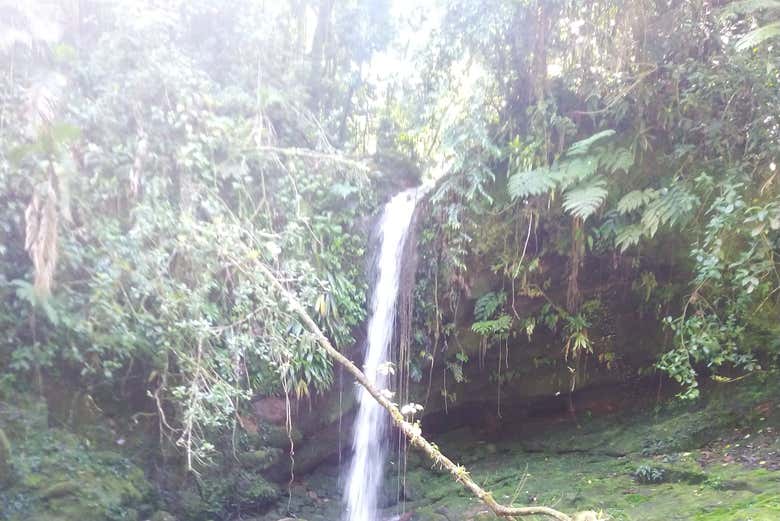 Senderismo por las cascadas de Ubatuba