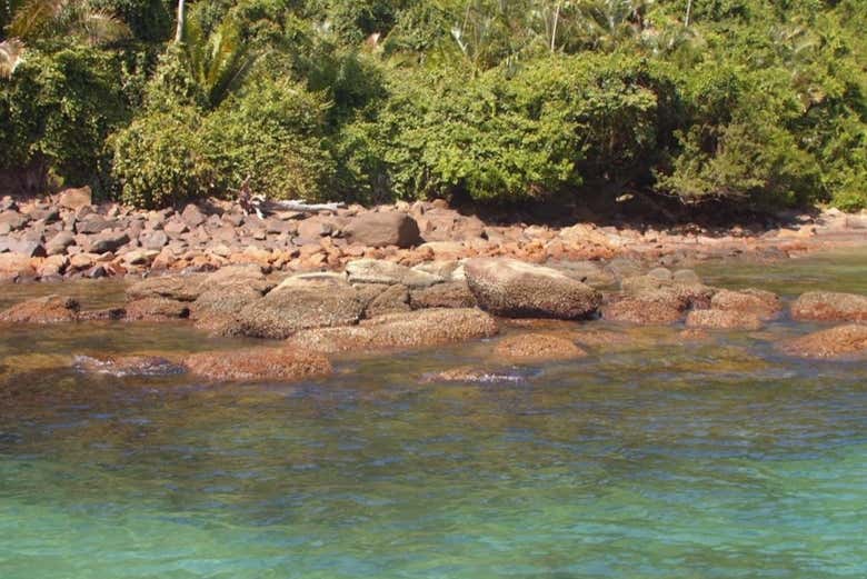 Paseo en barco por las playas del sur de Ubatuba