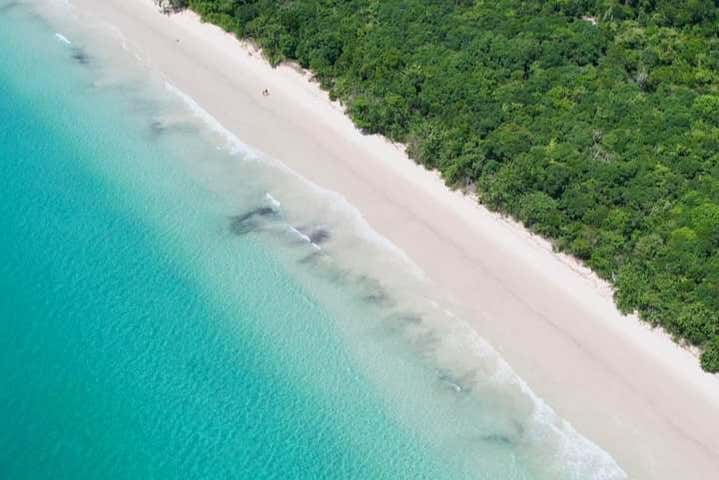 Excursión a la isla Anchieta