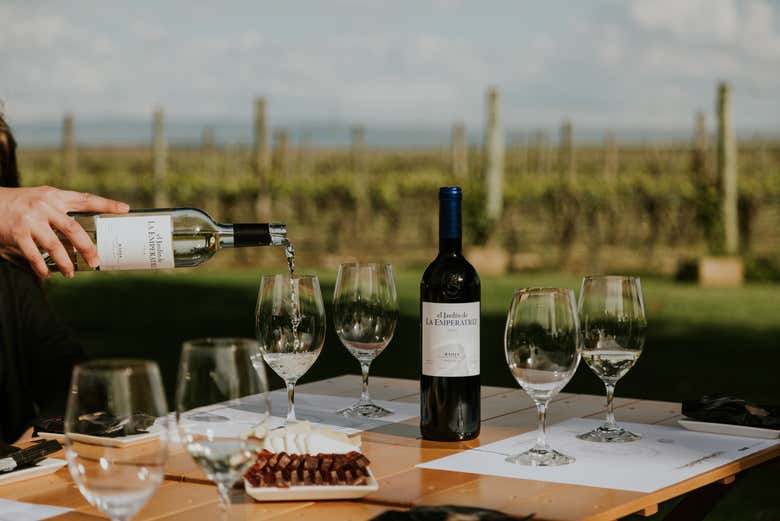 Visita al viñedo de la Finca La Emperatriz