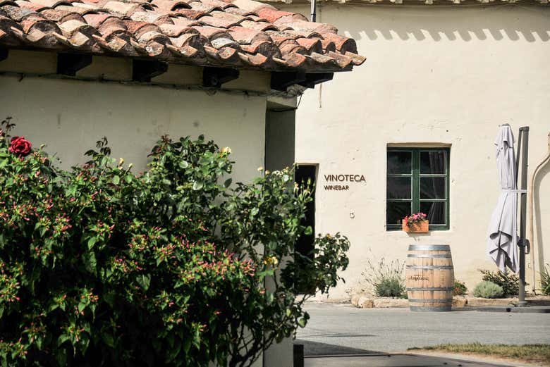 Visita al viñedo de la Finca La Emperatriz