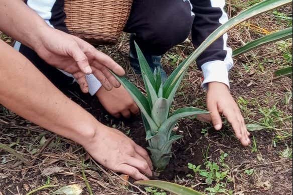 Visita a la finca Tierra Activa