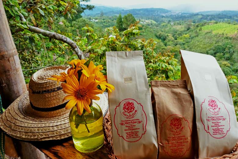 Tour del café por la finca Tierra Activa
