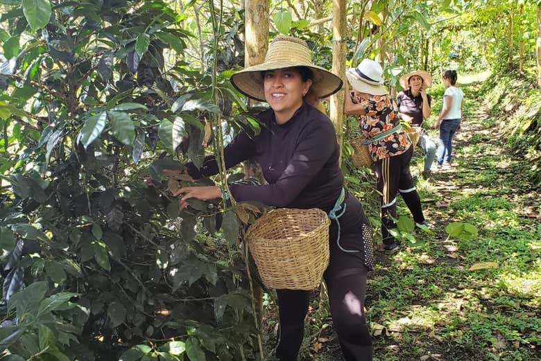 Tour del café por la finca Tierra Activa