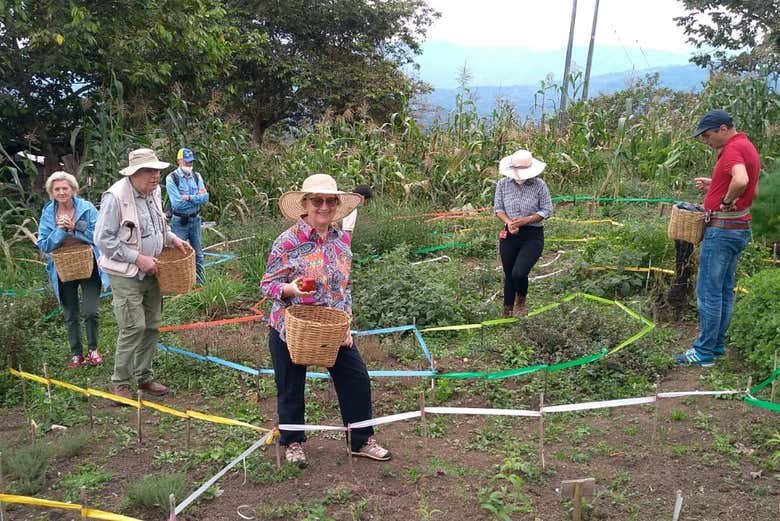 Sesión de aromaterapia y meditación en la finca Tierra Activa