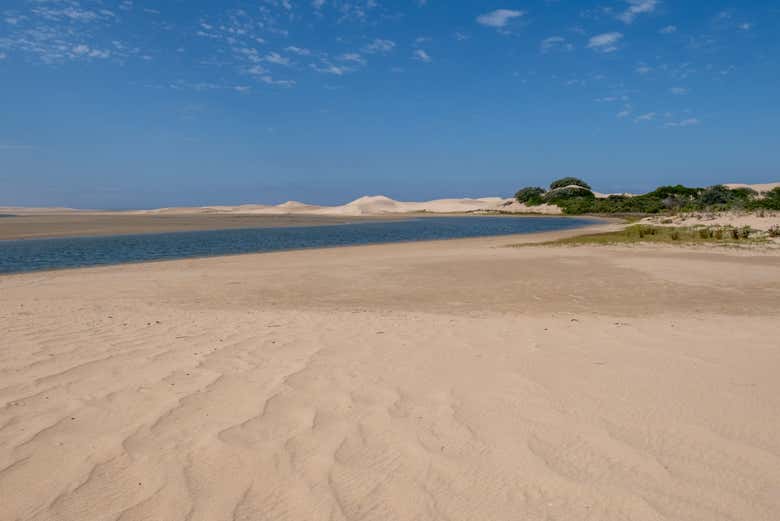 Sandboarding en las dunas de Alexandria + Paseo en barco