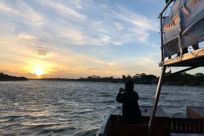 Paseo en barco por el río Sundays