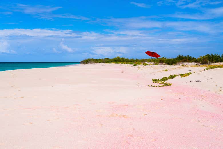 Excursión a la isla de Barbuda
