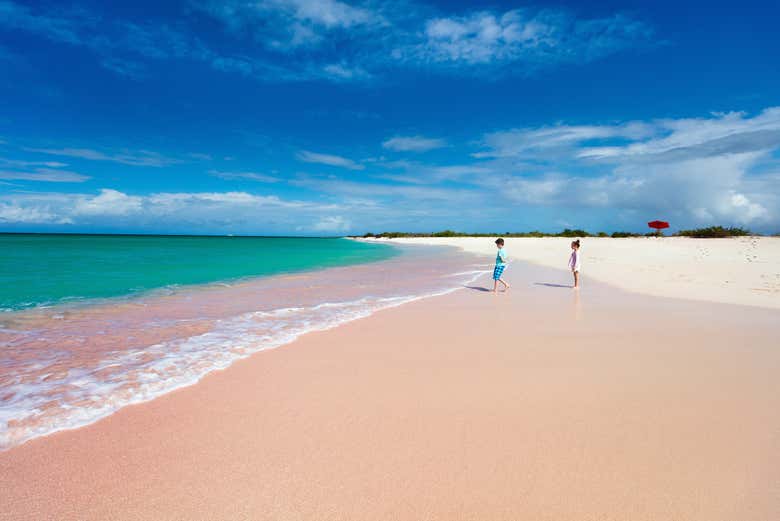 Excursión a la isla de Barbuda