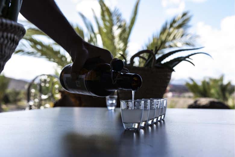 Visita a una plantación de aloe vera, olivos y permacultura