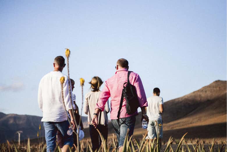 Visita a una plantación de aloe vera, olivos y permacultura