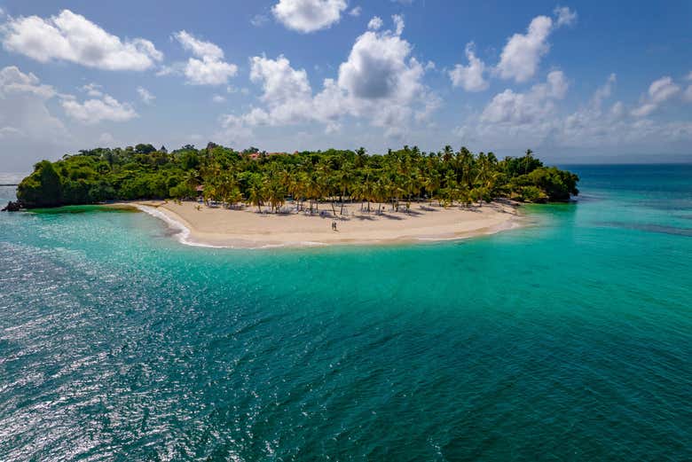 Avistamiento de ballenas en Samaná + Cayo Levantado