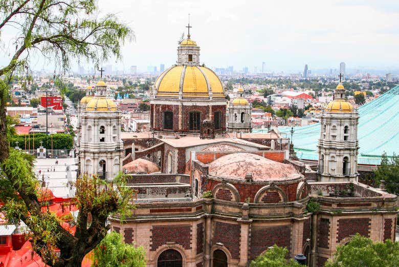 Free tour por la Basílica de Guadalupe