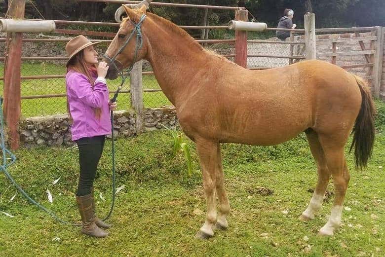 Tour a caballo por los alrededores de Quero