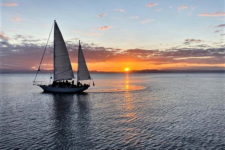 Paseo en barco al atardecer por el lago Taupo