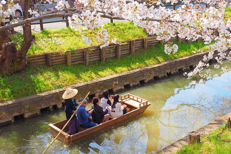 Excursión privada a Kawagoe - Galería 1
