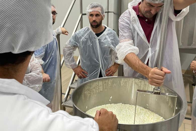 Visita a una fábrica de queso con degustación y taller