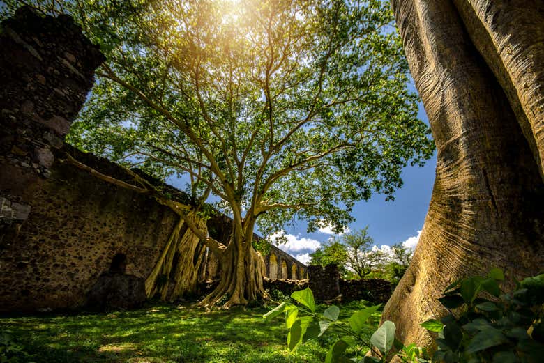 Excursión a la Ex Hacienda San Juan Bautista
