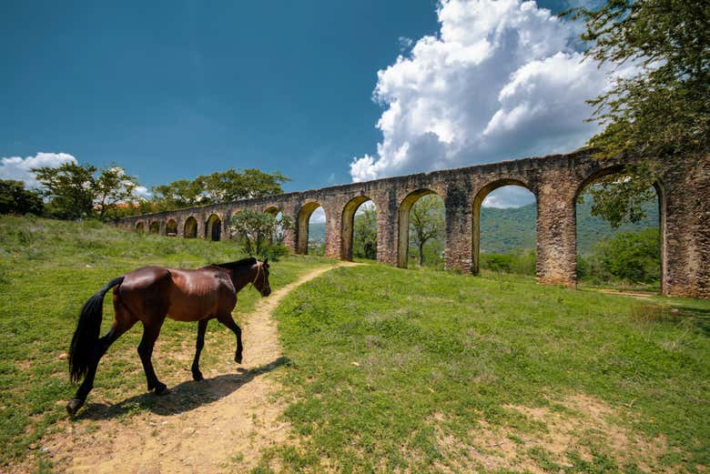 Excursión a la Ex Hacienda San Juan Bautista