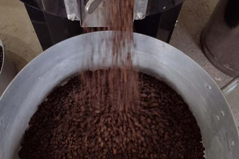 Visita a una finca de café orgánico