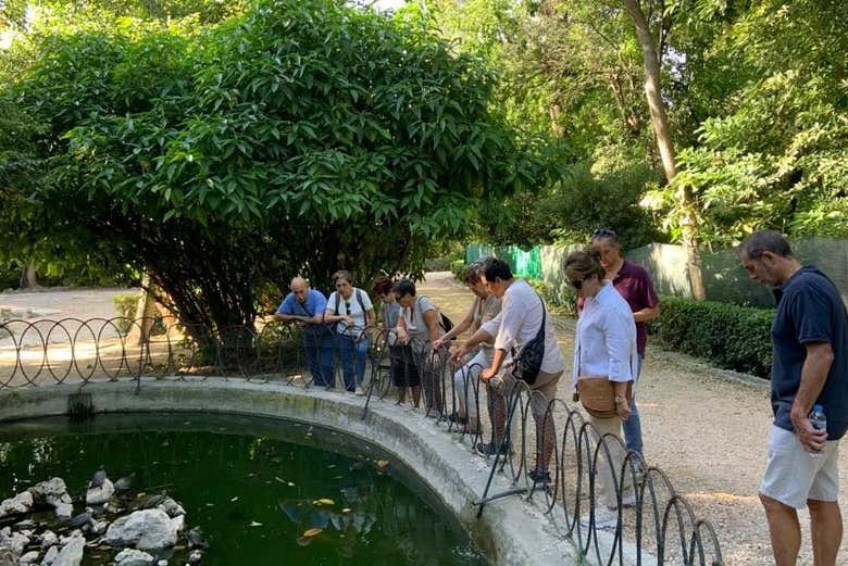 Tour mitológico por Atenas