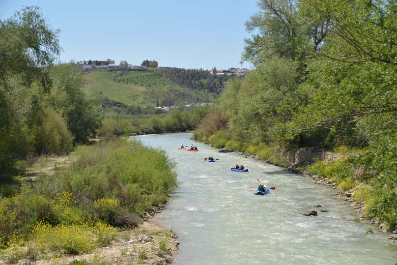 Tour en kayak por el río Genil