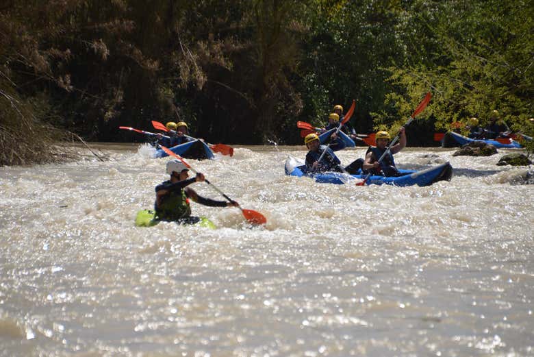 Tour en kayak por el río Genil