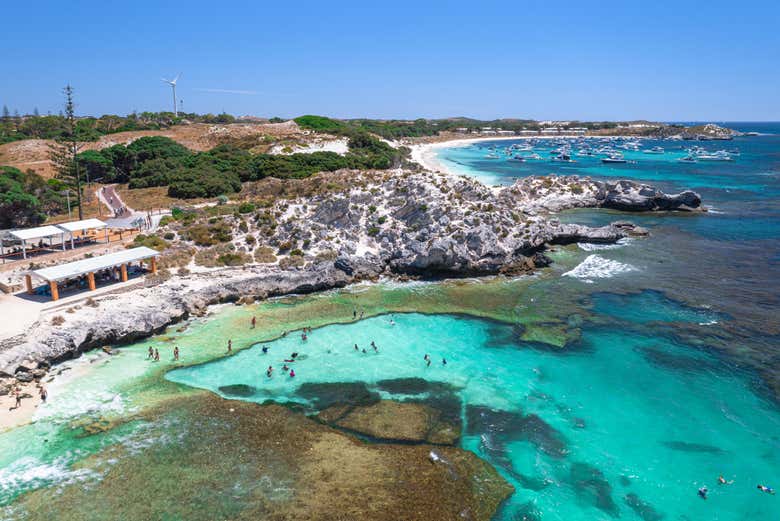 Tour por la isla de Rottnest