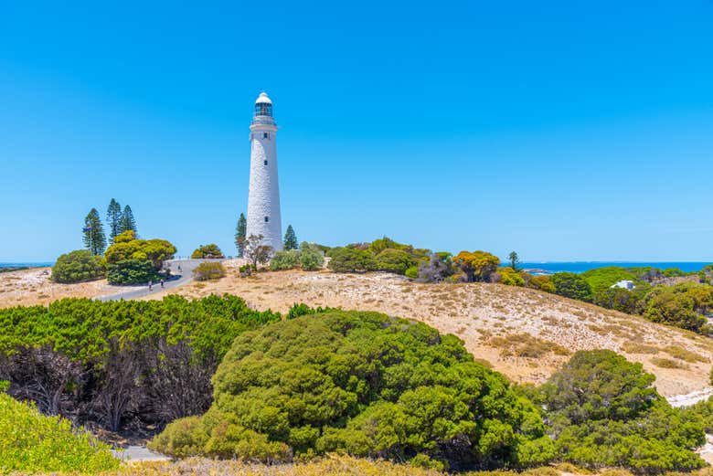 Tour por la isla de Rottnest