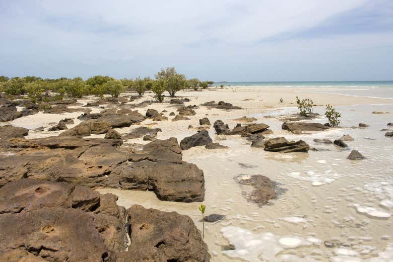 Tour por la península Dampier