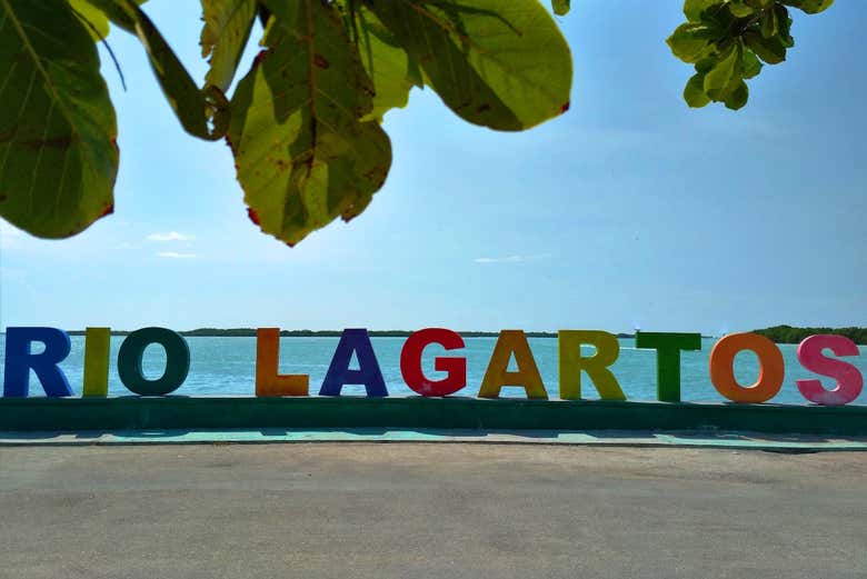 Avistamiento de aves en Río Lagartos