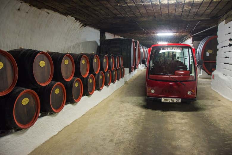 Bodega de Cricova + Monasterios de Orheiul Vechi y Curchi