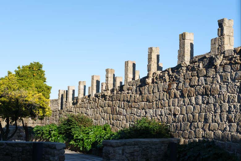 Tour por los museos de Castelo Branco