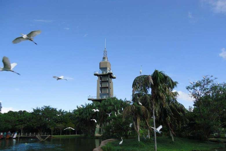 Tour por los parques amazónicos de Belén