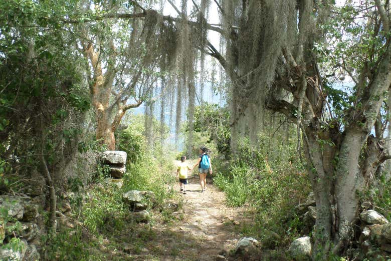 Senderismo por el Camino Real hasta Guane