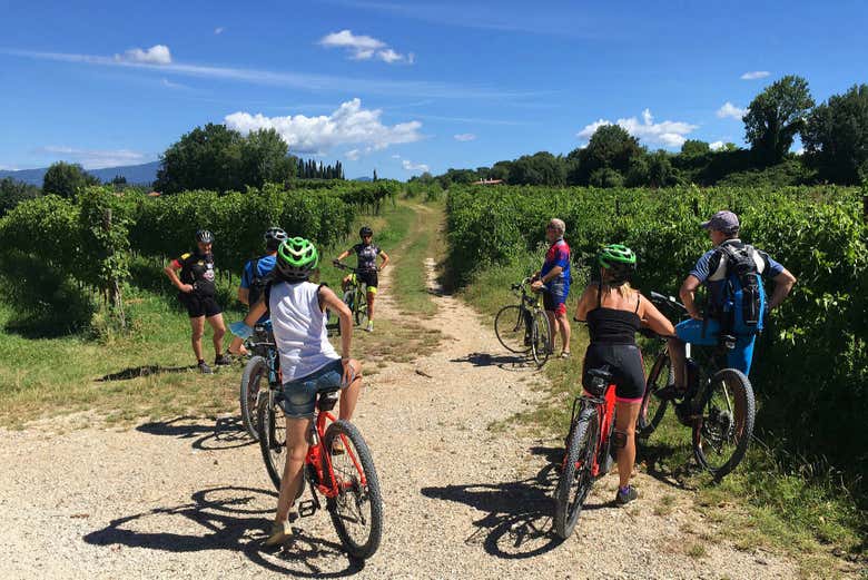 Tour en bicicleta eléctrica por los viñedos de Lazise + Cata de vino - Galería 1