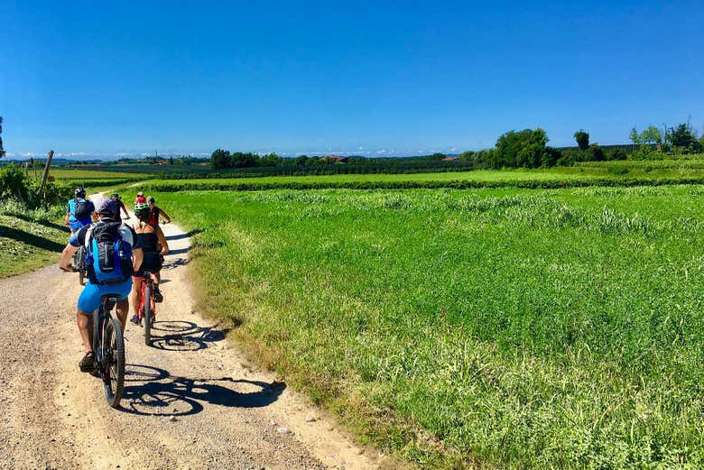 Tour en bicicleta eléctrica por los viñedos de Lazise + Cata de vino - Galería 2