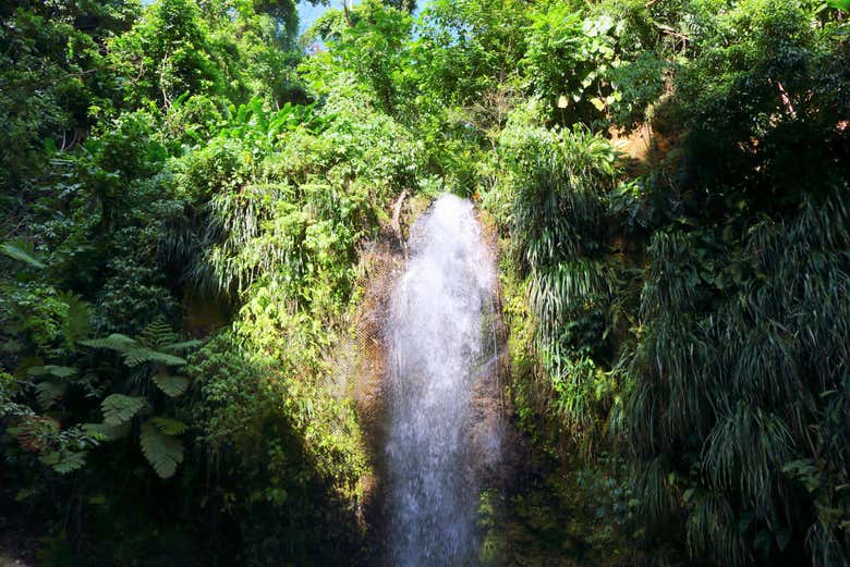 Tour por la costa oeste de Santa Lucía