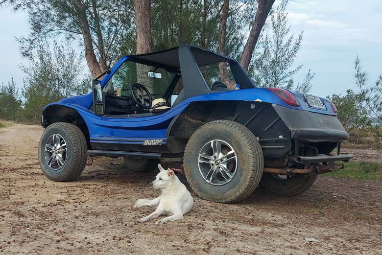 Tour en buggy por Arubinha
