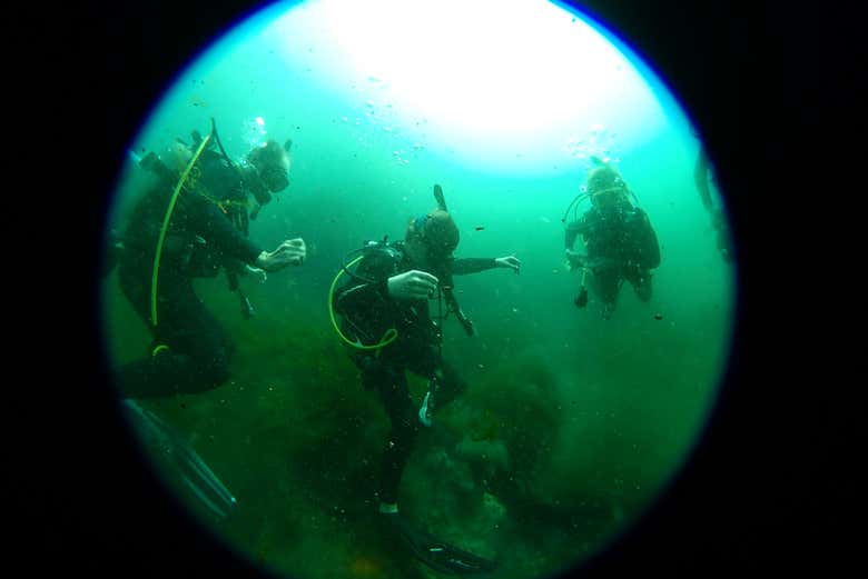 Buceo en Rainbow River