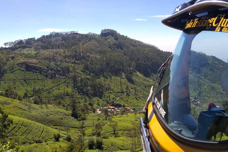 Tour en tuk tuk por las plantaciones de té de Haputale