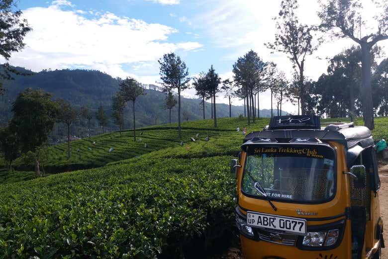 Tour en tuk tuk por las plantaciones de té de Haputale