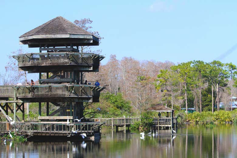 Entrada a Gatorland