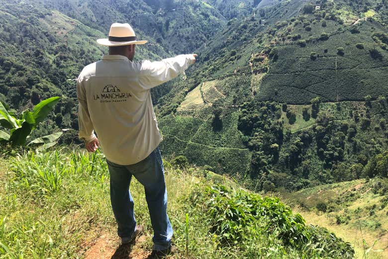 Tour por una finca de café de Salgar
