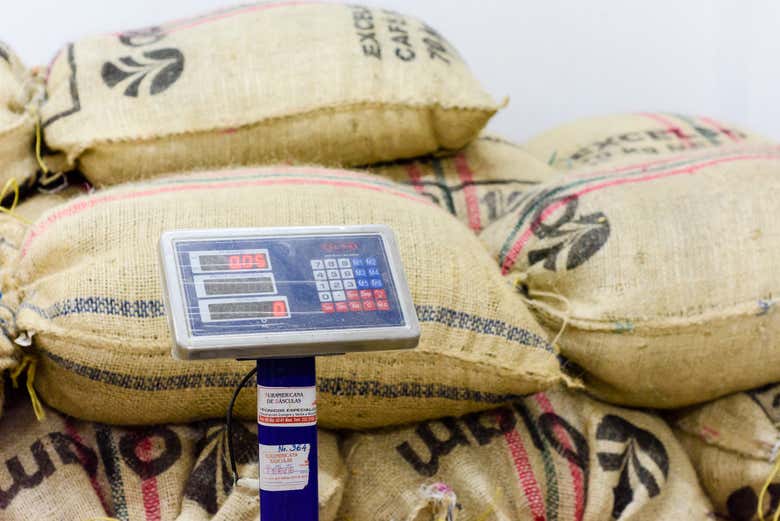 Tour por una finca de café de Salgar