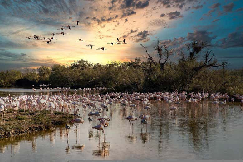 Excursión a Las Coloradas y Río Lagartos - Galería 1