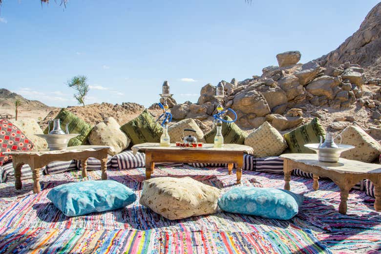 Tour en quad por el desierto + Paseo en camello